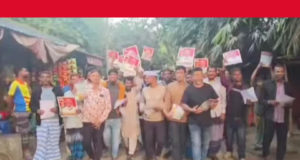 সাদিপুরে বিএনপির প্রার্থী মান্নানের ধানের শীষের পক্ষে লিফলেট বিতরণ ও ভোট প্রার্থনা