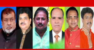 নির্বাচনের সুযোগ দিচ্ছে সরকার: না’গঞ্জে তৎপর জাতীয় পার্টি