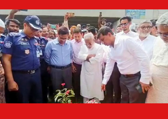 সোনারগাঁও কাঁচপুর সেতুর পূর্বঢালে বৃক্ষরোপণ কর্মসূচির উদ্বোধন করলেন এমপি মান্নান