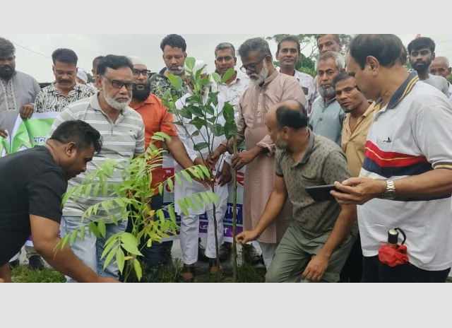 যুবদলের সাবেক নেতাকর্মীদের নিয়ে সিদ্ধিরগঞ্জে খোরশেদের বৃক্ষরোপন কর্মসূচি পালন