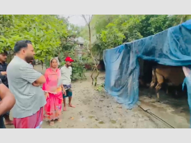 আড়াইহাজারে বেড়েছে গরুর চুরির ঘটনা: দুই কৃষকের ৩টি গরু চুরি