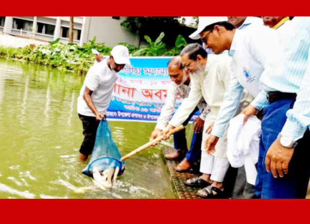 বন্দরে মাছের পোনা অবমুক্ত করলেন এমপি কালাম